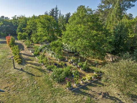 2560 Meier Rd, Sebastopol, CA 95472 photo 70
