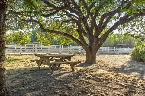 2560 Meier Rd, Sebastopol, CA 95472 photo 82