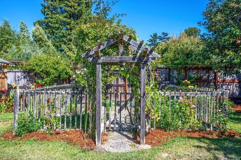 159 Linden Ln, Mill Valley, CA 94941 photo 83