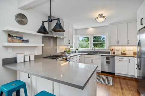 159 Linden Ln, Mill Valley, CA 94941 photo 23
