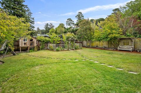159 Linden Ln, Mill Valley, CA 94941 photo 53