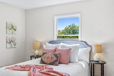 219 E Spring St, Napa, CA 94559 photo 33