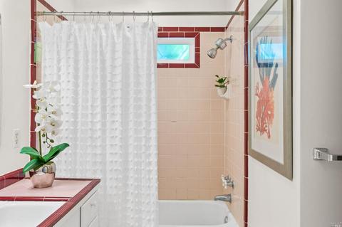 219 E Spring St, Napa, CA 94559 photo 31