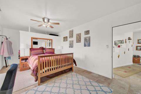 3959 Canal Ln, Winters, CA 95694 photo 57