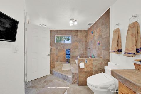 3959 Canal Ln, Winters, CA 95694 photo 46