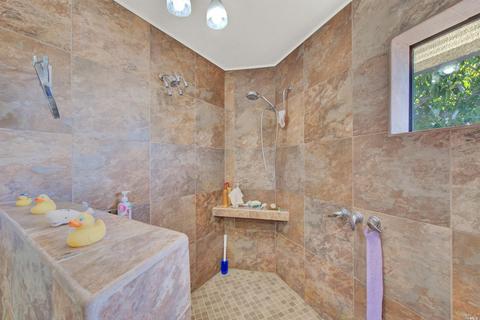 3959 Canal Ln, Winters, CA 95694 photo 48