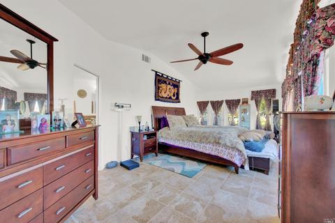 3959 Canal Ln, Winters, CA 95694 photo 43