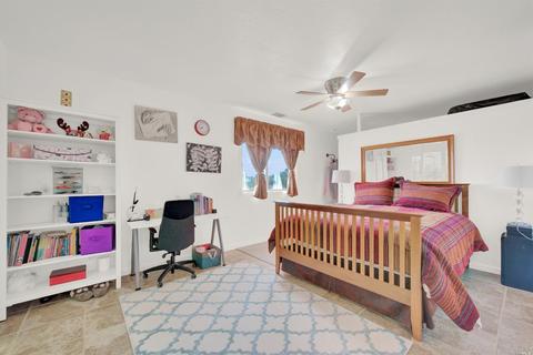 3959 Canal Ln, Winters, CA 95694 photo 56