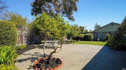 24 Estrada Ln, Corte Madera, CA 94925 photo 24
