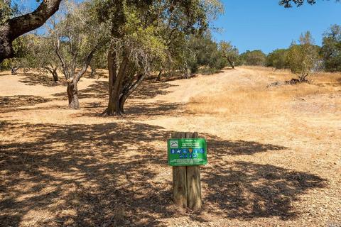 20 Flicker Dr, Novato, CA 94949 photo 28