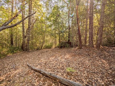 20345 Mountain View Rd, Boonville, CA 95415