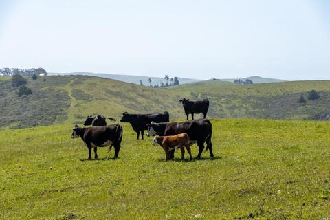 19001 Highway 1, Bodega Bay, CA 94923 photo 21