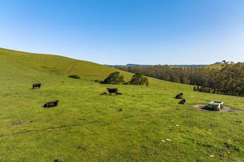 19001 Highway 1, Bodega Bay, CA 94923 photo 25