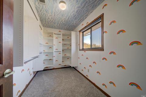 3898 Putah Ridge Trl, Winters, CA 95694 photo 57