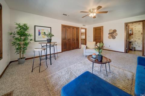 3898 Putah Ridge Trl, Winters, CA 95694 photo 43