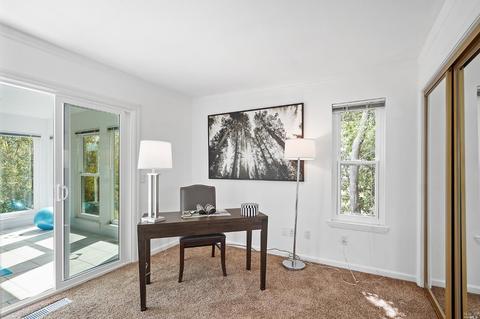 265 Greene St, Mill Valley, CA 94941 photo 20