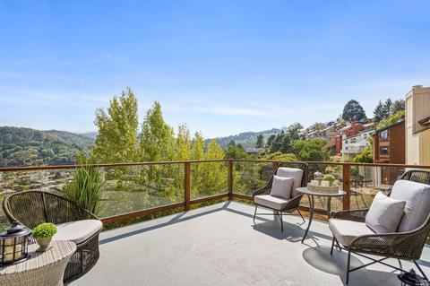 265 Greene St, Mill Valley, CA 94941 photo 35
