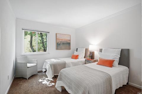 265 Greene St, Mill Valley, CA 94941 photo 19