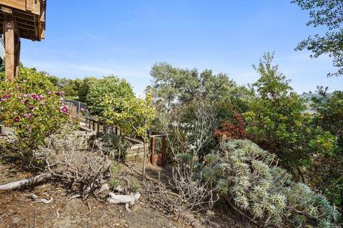 265 Greene St, Mill Valley, CA 94941 photo 32