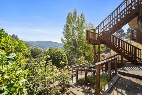 265 Greene St, Mill Valley, CA 94941 photo 31