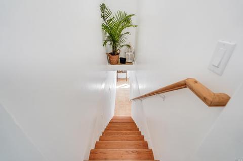 571 Fairview Ave, Mill Valley, CA 94941 photo 32