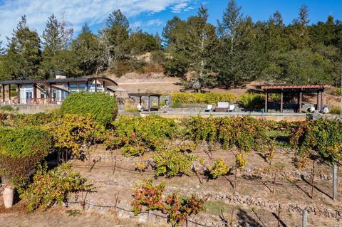 2133 Trinity Rd, Glen Ellen, CA 95442 photo 30