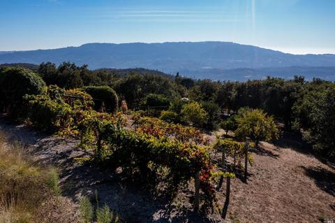 2133 Trinity Rd, Glen Ellen, CA 95442 photo 33