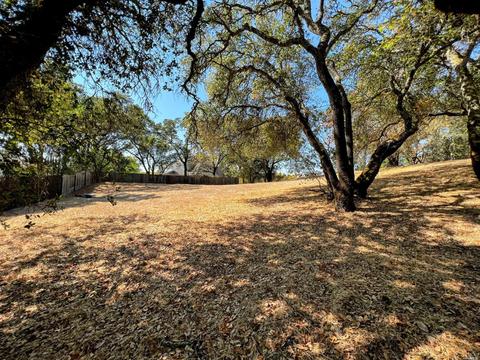 912 Turnberry Ct, Windsor, CA 95492 photo 4