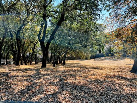 912 Turnberry Ct, Windsor, CA 95492 photo 5