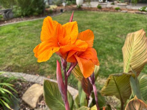 2723 Marigold Dr, Fairfield, CA 94533 photo 5