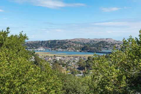 334 Durant Way, Mill Valley, CA 94941 photo 25