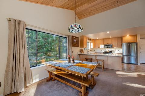 1619 Primrose Dr, Willits, CA 95490 photo 7