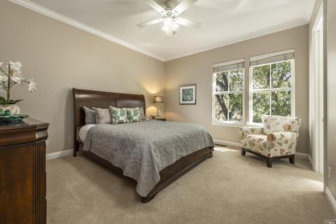 917 Birkdale Ct, Windsor, CA 95492 photo 23