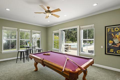917 Birkdale Ct, Windsor, CA 95492 photo 31