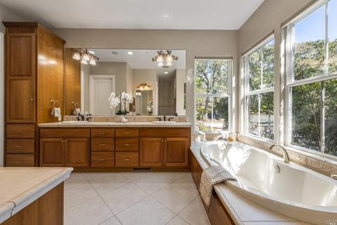 917 Birkdale Ct, Windsor, CA 95492 photo 20