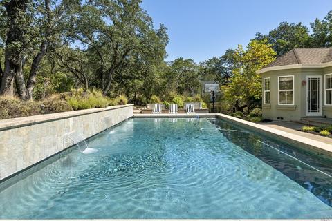 917 Birkdale Ct, Windsor, CA 95492 photo 43
