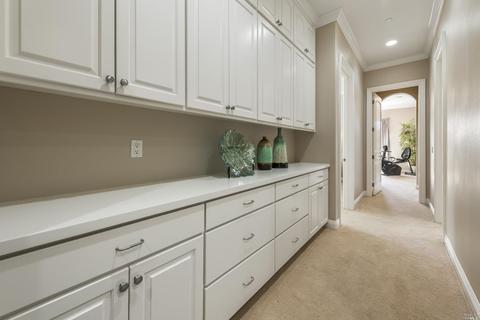 917 Birkdale Ct, Windsor, CA 95492 photo 26