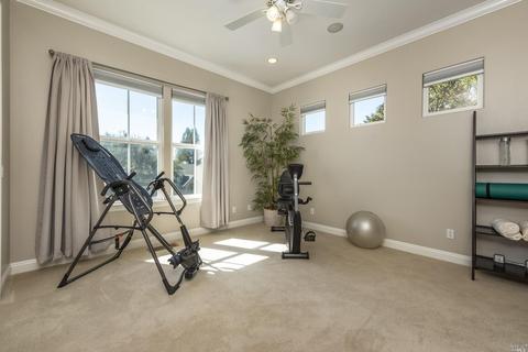917 Birkdale Ct, Windsor, CA 95492 photo 30