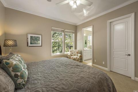 917 Birkdale Ct, Windsor, CA 95492 photo 24