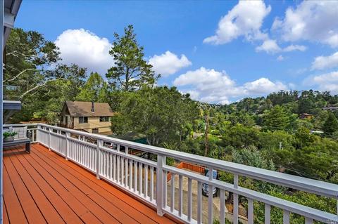 451 Marin Ave, Mill Valley, CA 94941 photo 40