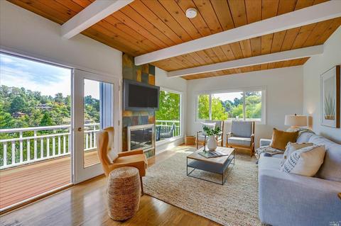 451 Marin Ave, Mill Valley, CA 94941 photo 7