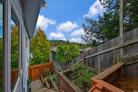 451 Marin Ave, Mill Valley, CA 94941 photo 47