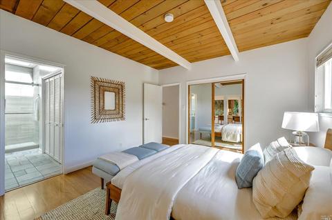 451 Marin Ave, Mill Valley, CA 94941 photo 34