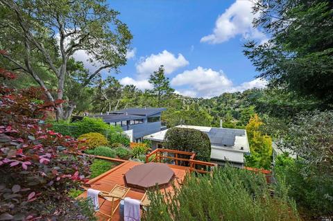 451 Marin Ave, Mill Valley, CA 94941 photo 45