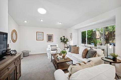 87 Skyline Ter, Mill Valley, CA 94941 photo 46