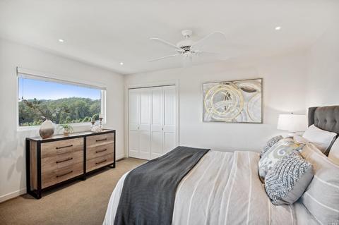 87 Skyline Ter, Mill Valley, CA 94941 photo 24