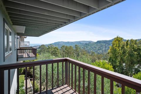 87 Skyline Ter, Mill Valley, CA 94941 photo 32