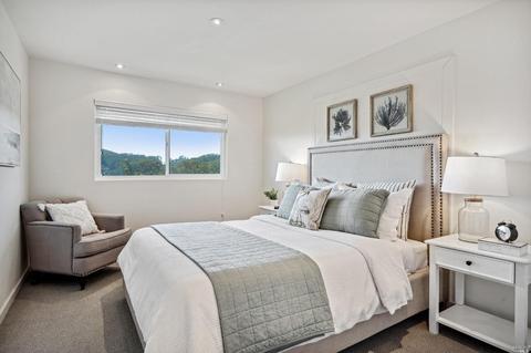 87 Skyline Ter, Mill Valley, CA 94941 photo 28