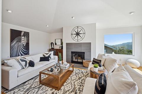 87 Skyline Ter, Mill Valley, CA 94941 photo 7