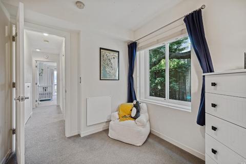 87 Skyline Ter, Mill Valley, CA 94941 photo 45